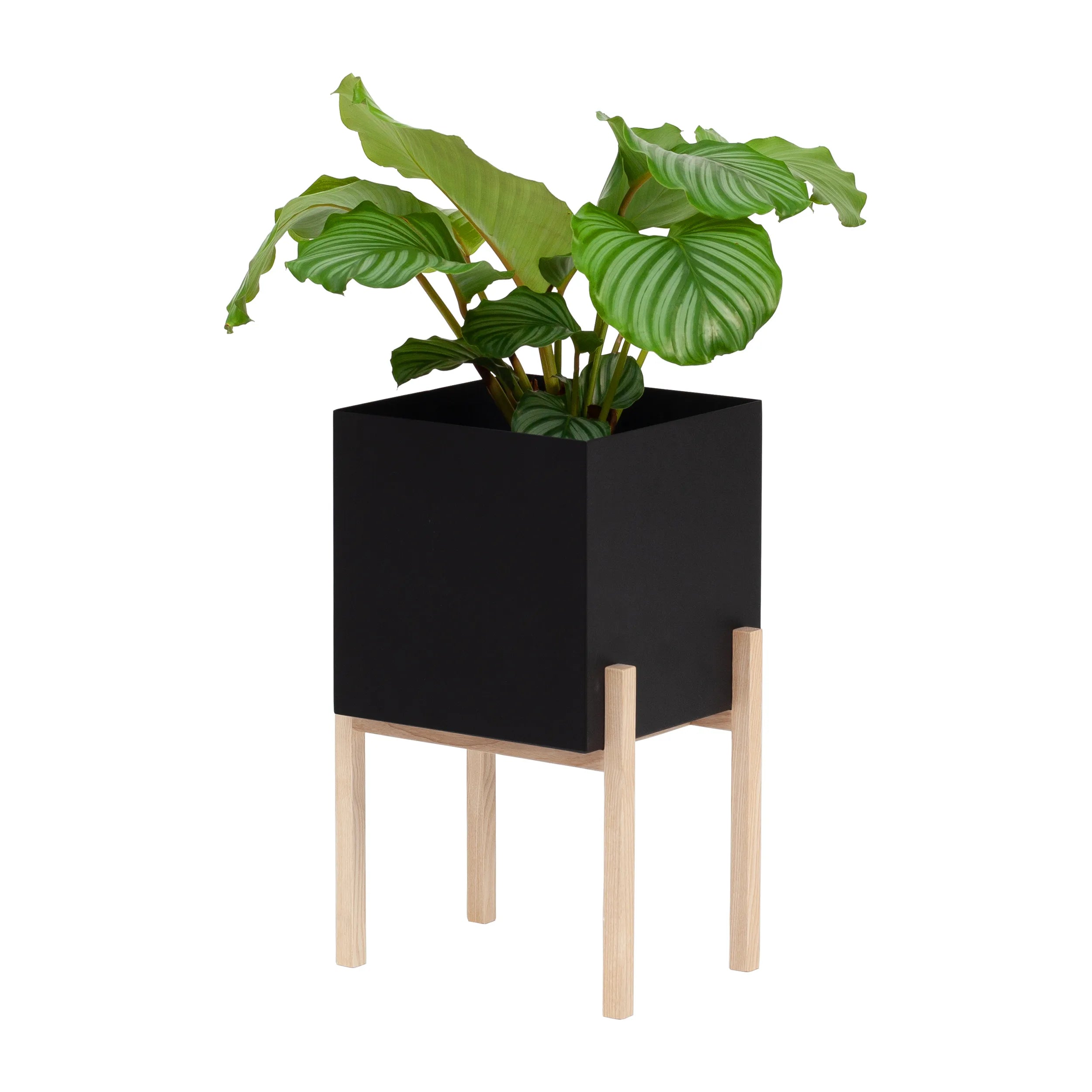Botanic Pedestal Pot Blumentopf
