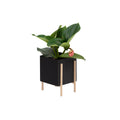 Botanic Pot Blumentopf