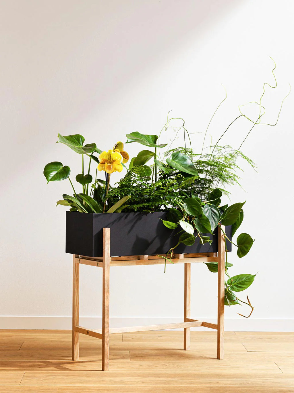 Botanic Stand Blumentopf