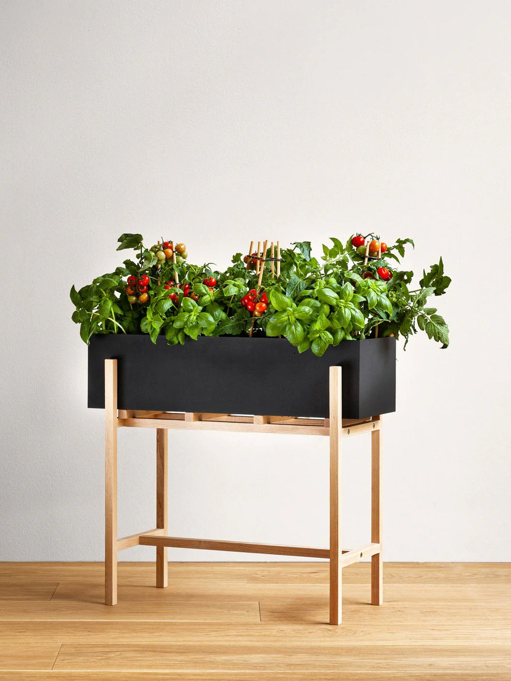 Botanic Stand Blumentopf
